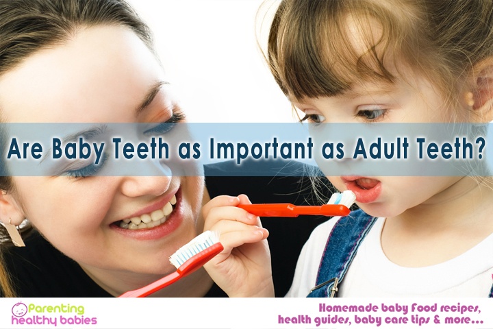 baby teeth and adult teeth