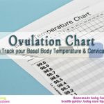 Ovulation chart: Steps to chart your basal body temperature