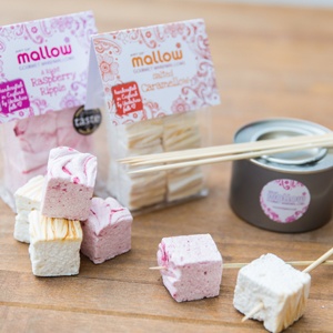 Marshmallow Toasting Kit