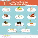 11 Herbs That Keep You Warm During Winters-01 (1)