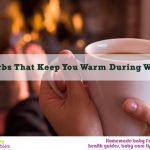 11 Herbs That Keep You Warm During Winters