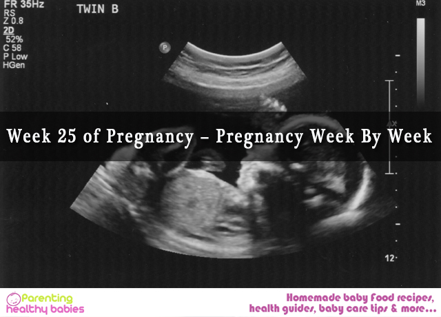 week 25 pregnancy