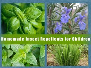 8 Effective Homemade Insect Repellent for Children: Mom Hacks