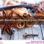 11 Health Benefits of Anise in your Child’s Diet