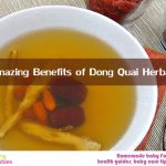 11 Amazing Benefits of Dong Quai Herbal Tea