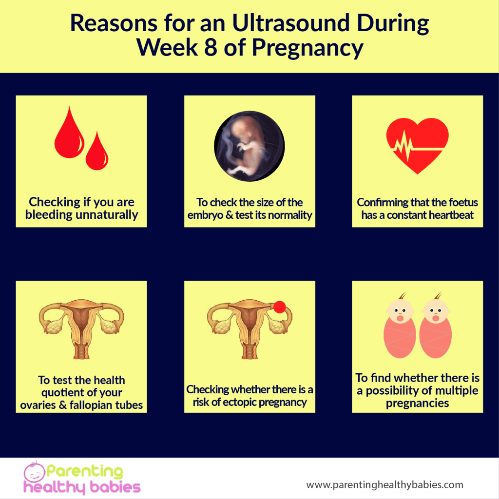 Reasons for an Ultrasound During week 8