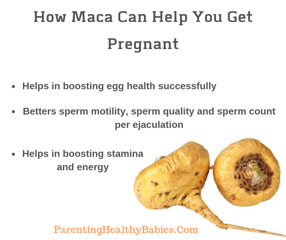 maca for pregnancy