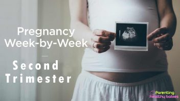 Second Trimester - Week by Week Pregnancy