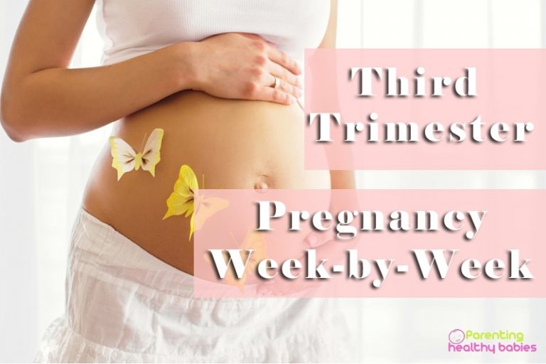 Third Trimester - Week by Week Pregnancy