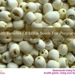 11 Health Benefits Of Lotus Seeds For Pregnant Moms