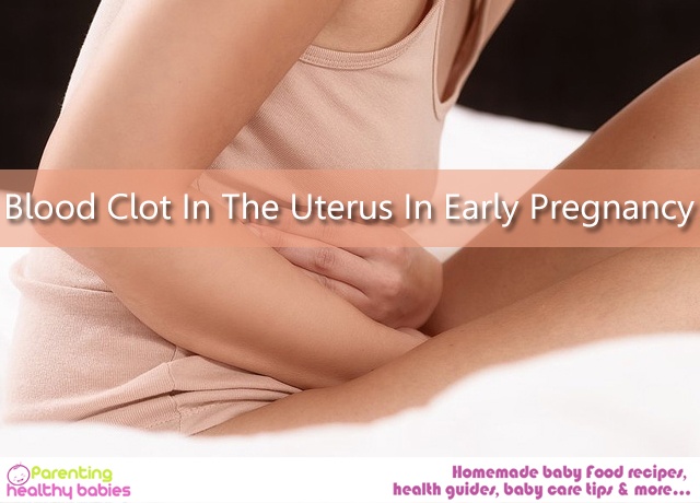 Uterus In Early Pregnancy