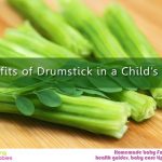 Benefits of Drumstick in a Child’s Diet