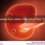 15 Surprising Facts About Your Baby’s First Trimester