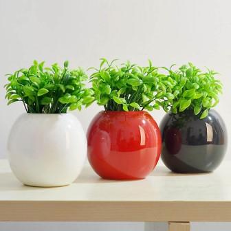 mniature plant pot