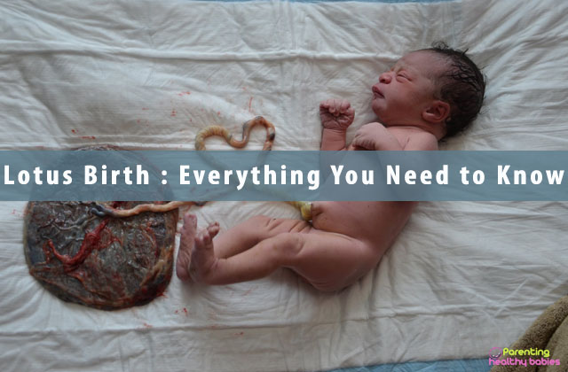 Lotus Birth : Everything You Need to Know