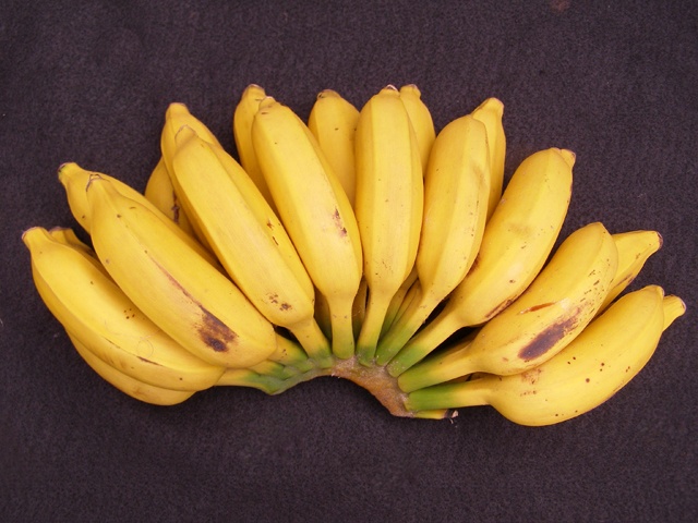 saba banana