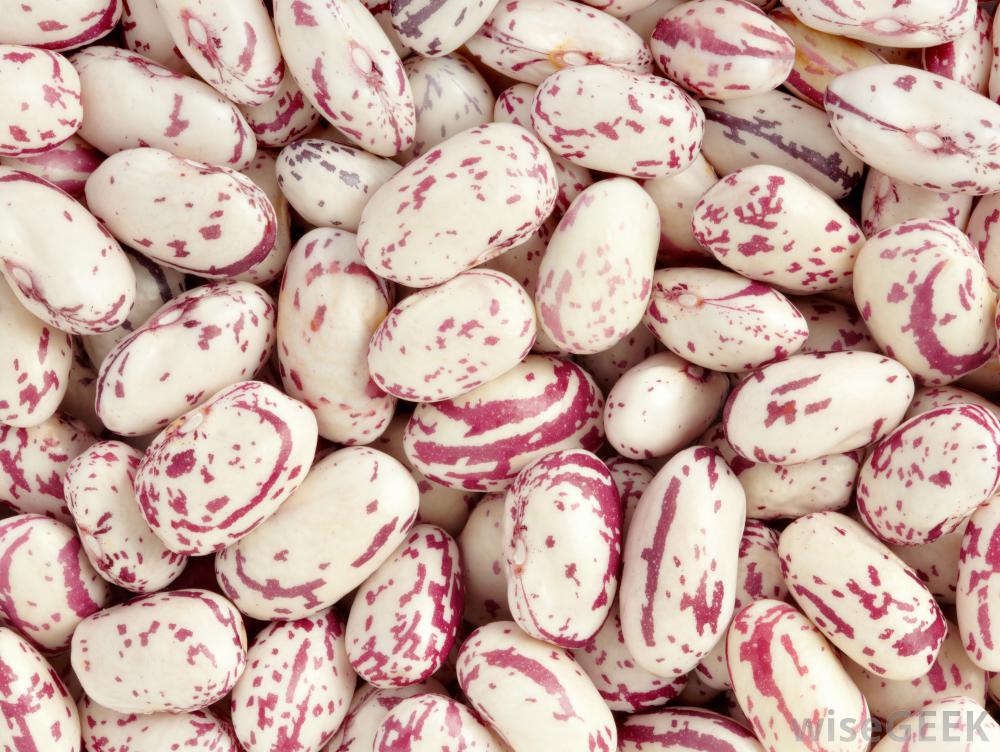 heirloom beans benefits