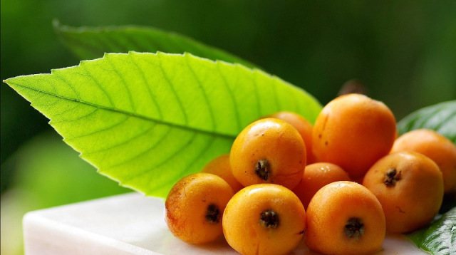 11 Surprising Benefits of Loquat in your Diet : Benefits and Recipes