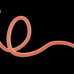threadworms