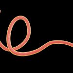 threadworms