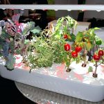 click-and-grow-smart-garden