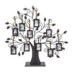 family tree