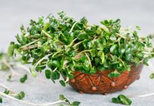 microgreens benefits