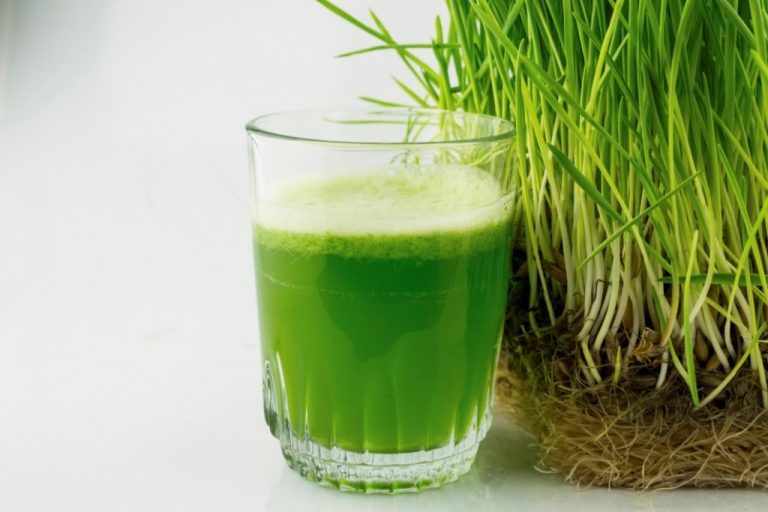 11 Amazing Benefits of Drinking Wheatgrass Juice