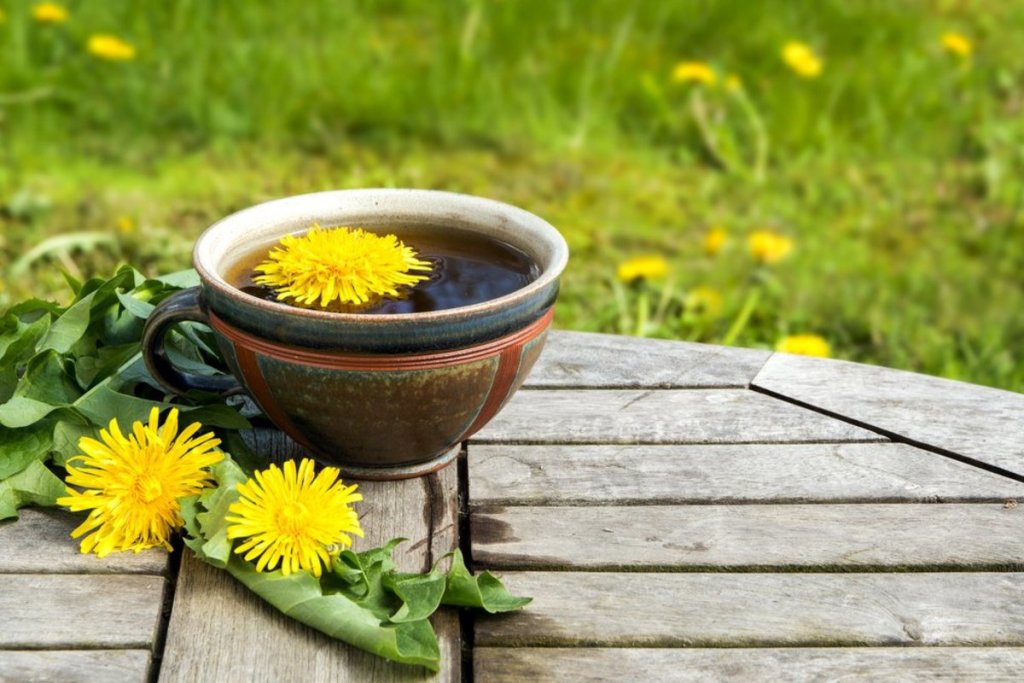 dandelion tea benefits