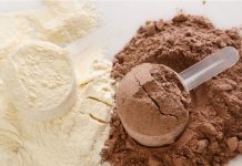 healthy protein powder for pregnancy