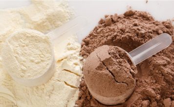 healthy protein powder for pregnancy