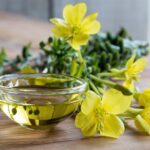 evening primrose oil