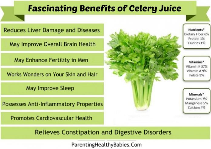 9 Super Fascinating Benefits of Celery Juice | Parentinghealthybabies.com