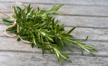 rosemary