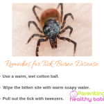 tick borne diseases