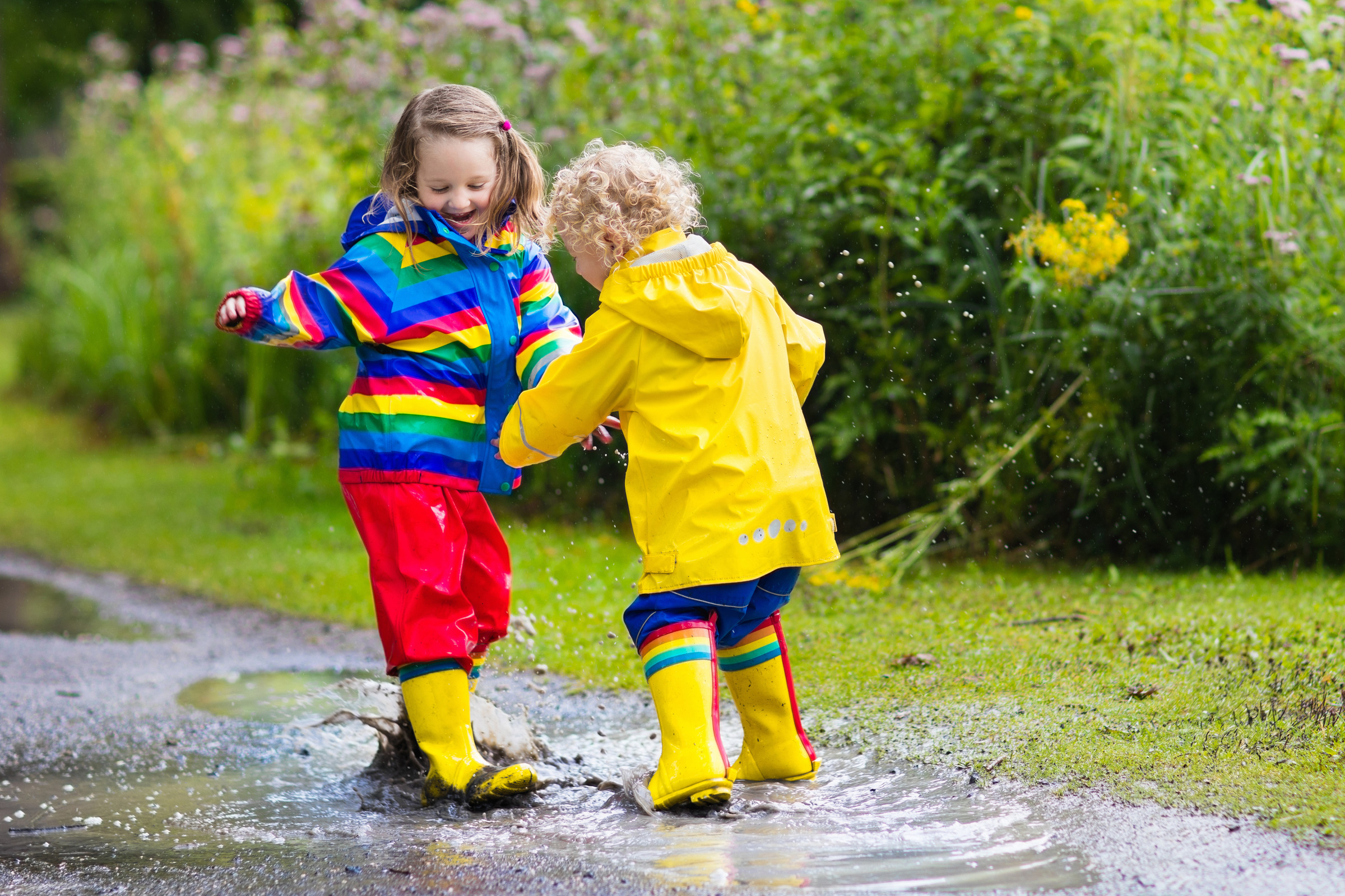 Kids play in rain and puddle in autumn. 