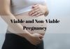 non viable pregnancy