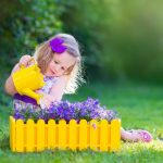 Watering the Garden