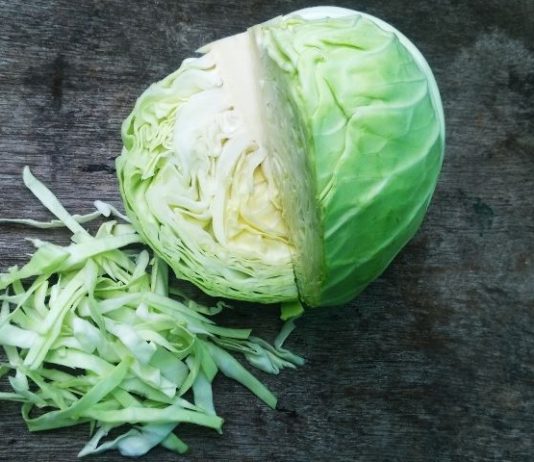 cabbage juice