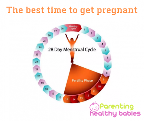 Know Your Chances of Getting Pregnant Every Day of The Month