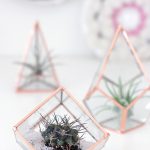 DIY Glass Terrariums