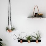 Minimal Copper Airplant Holders