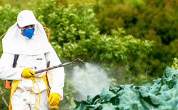 chlorpyrifos