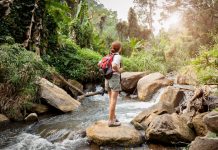 forest bathing