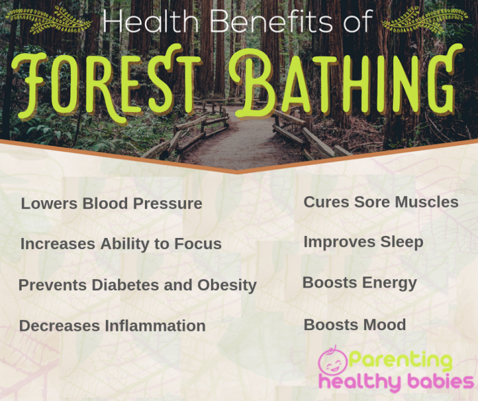 11 Surprising Benefits Of Forest Bathing & How It Can Impact Your Health