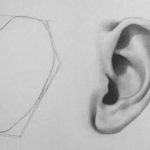 How to draw an ear