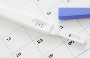 conception to due date chart