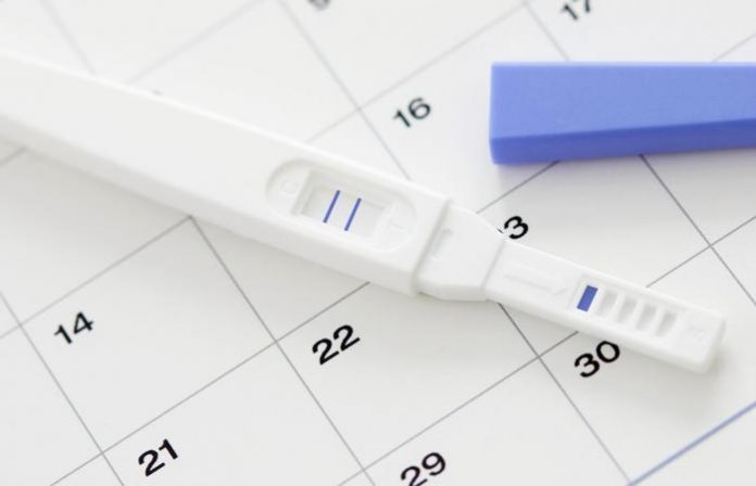 conception month to due date