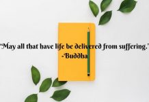 vegan quotes