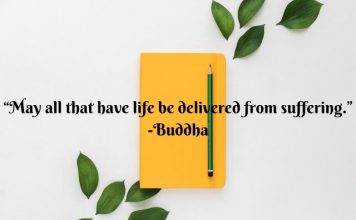 vegan quotes